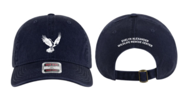 Navy colored hat